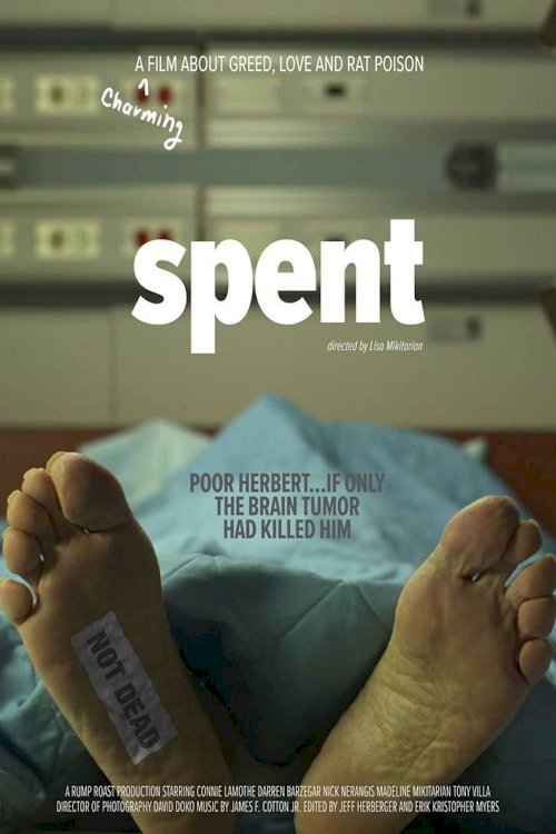 Spent Spent