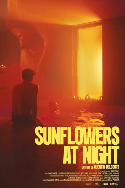 Sunflowers at Night Sunflowers at Night