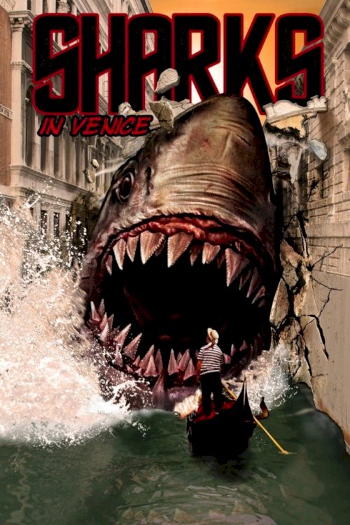 Sharks in Venice Sharks in Venice