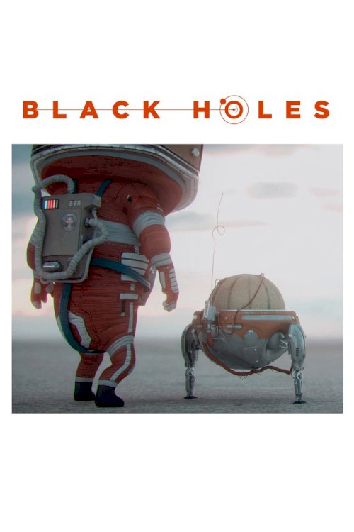 Black Holes Black Holes