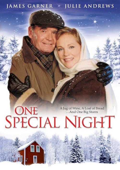 One Special Night One Special Night
