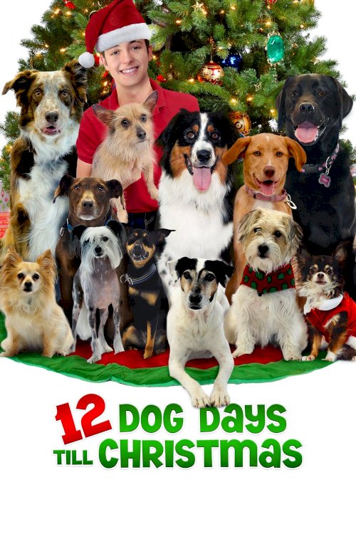 12 Dog Days Till Christmas 12 Dog Days Till Christmas