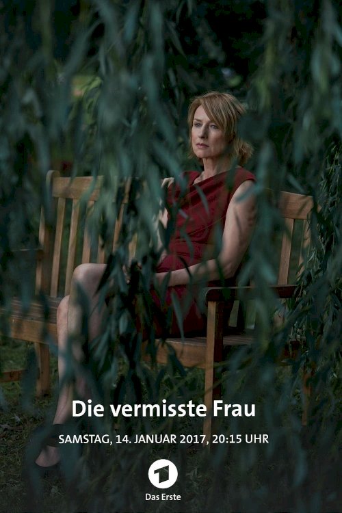 The Missing Woman The Missing Woman