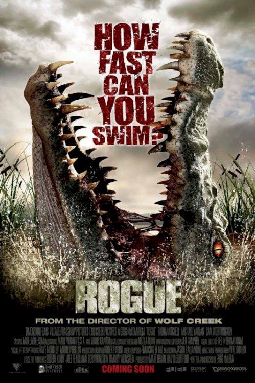 Rogue Rogue