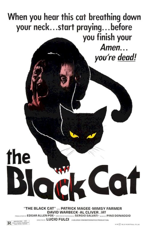The Black Cat The Black Cat