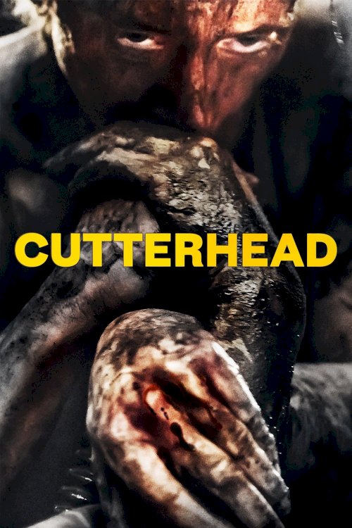 Cutterhead Cutterhead