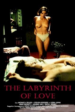 The Labyrinth of Love