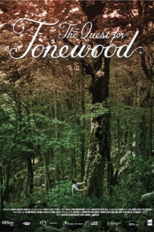 The Quest for Tonewood The Quest for Tonewood