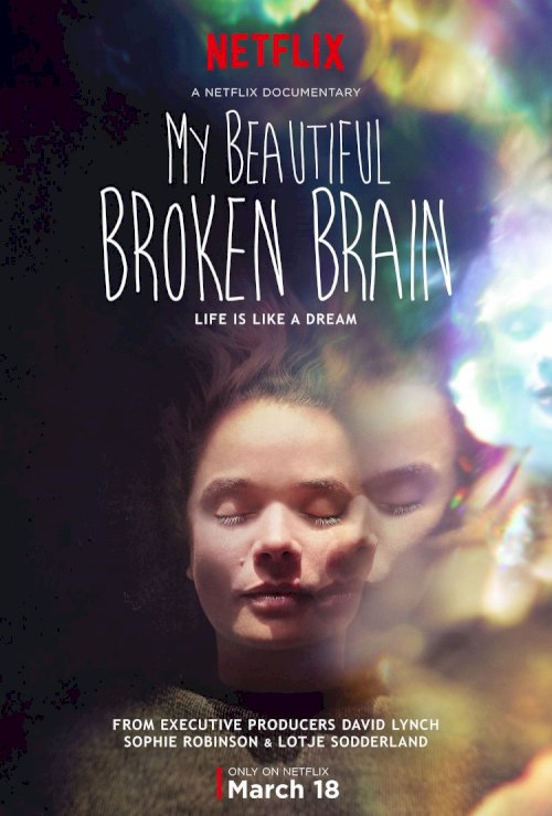 My Beautiful Broken Brain My Beautiful Broken Brain