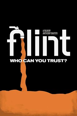 Flint Flint