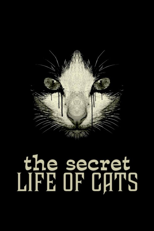 The Secret Life of Cats The Secret Life of Cats