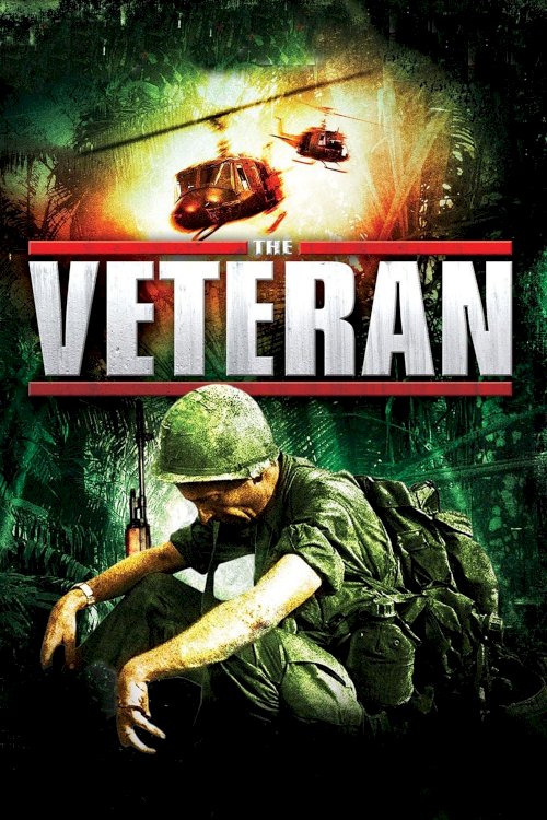 The Veteran The Veteran
