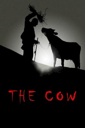 The Cow The Cow