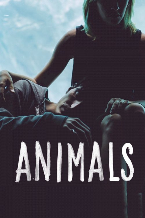 Animals Animals