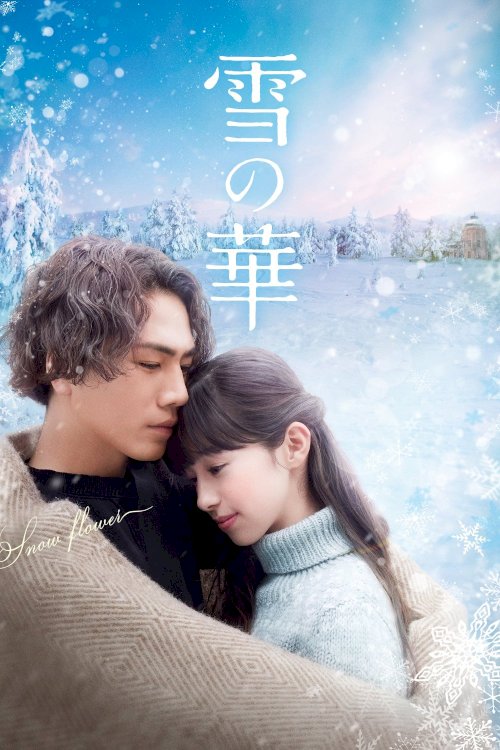 Snow Flower Snow Flower