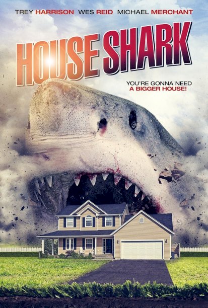 House Shark House Shark