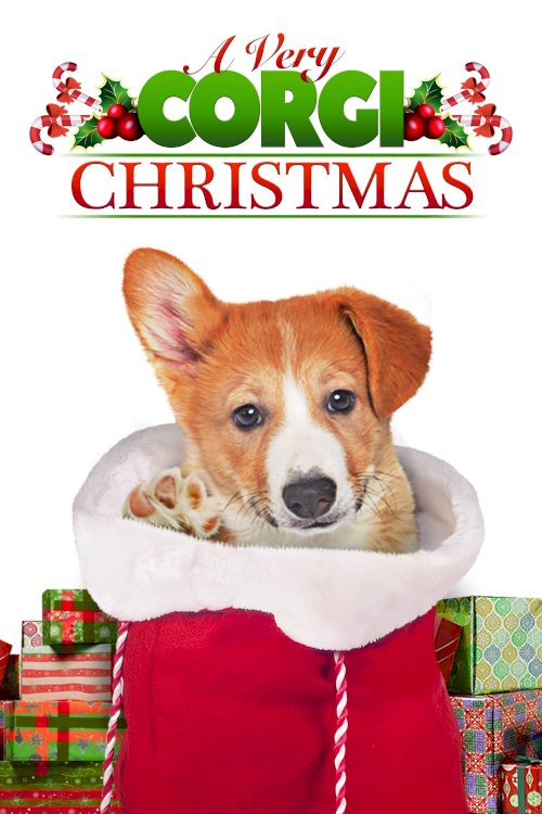 A Very Corgi Christmas A Very Corgi Christmas