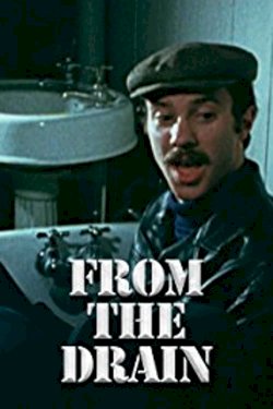 From the Drain From the Drain