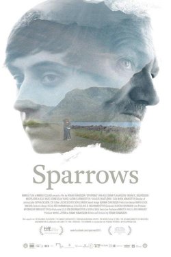 Sparrows Sparrows