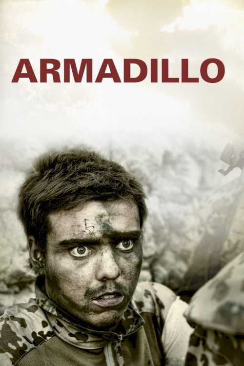 Armadillo Armadillo
