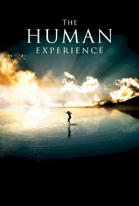The Human Experience The Human Experience