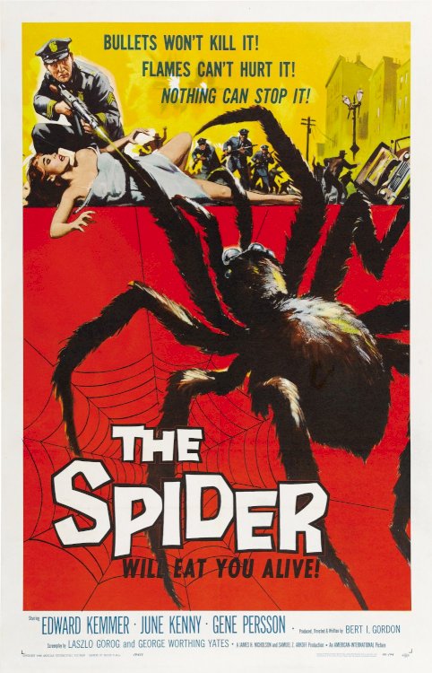 The Spider The Spider