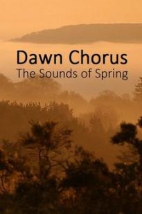 Dawn Chorus: The Sounds of Spring Dawn Chorus: The Sounds of Spring