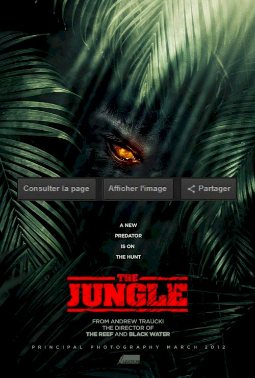 The Jungle The Jungle