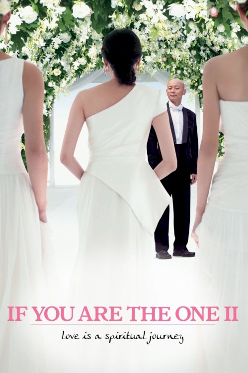 If You Are the One 2 If You Are the One 2