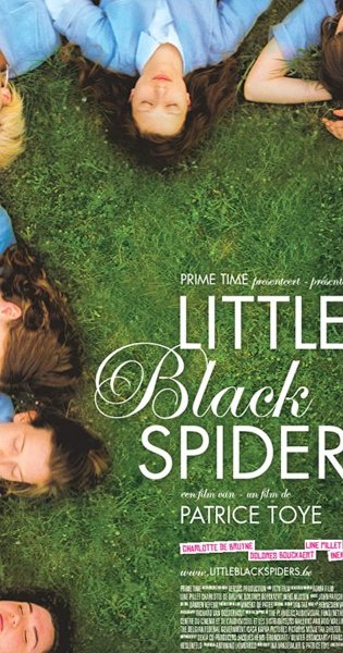 Little Black Spiders Little Black Spiders