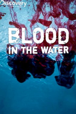Blood in the Water Blood in the Water