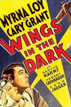 Wings in the Dark Wings in the Dark