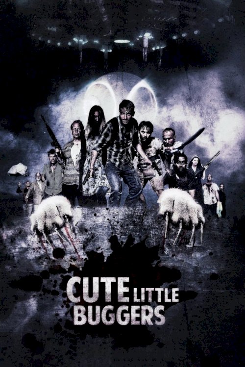 Cute Little Buggers Cute Little Buggers