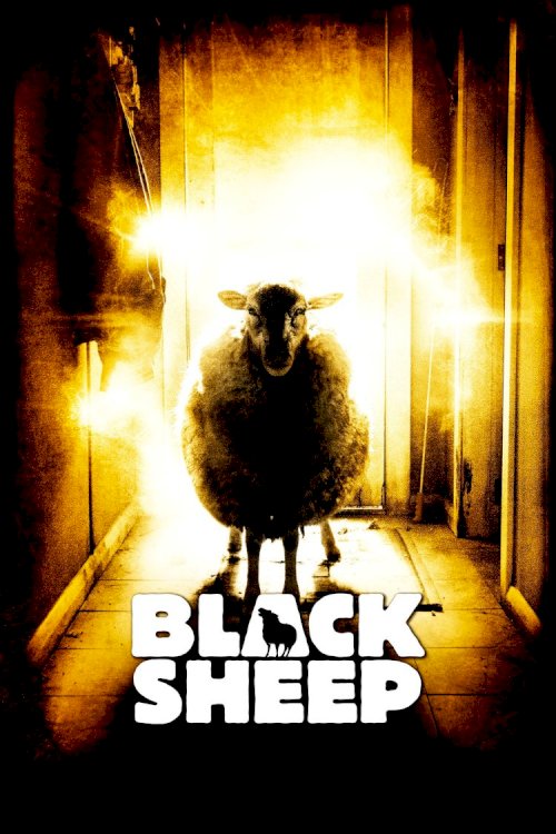 Black Sheep Black Sheep