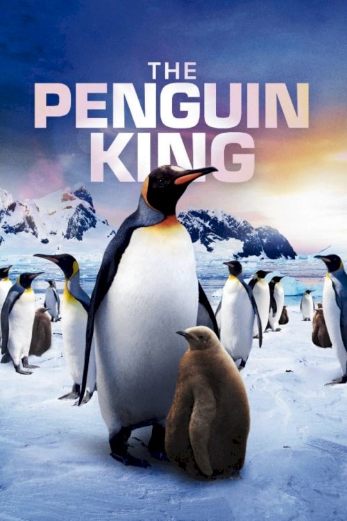 The Penguin King The Penguin King