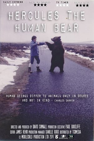Hercules the Human Bear Hercules the Human Bear