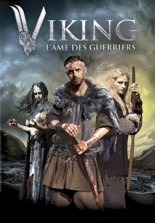 Viking: The Berserkers