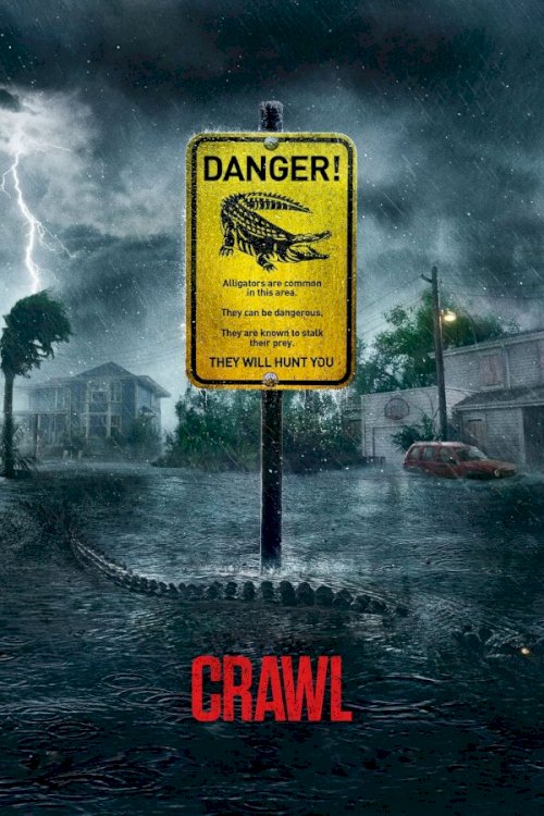 Crawl Crawl