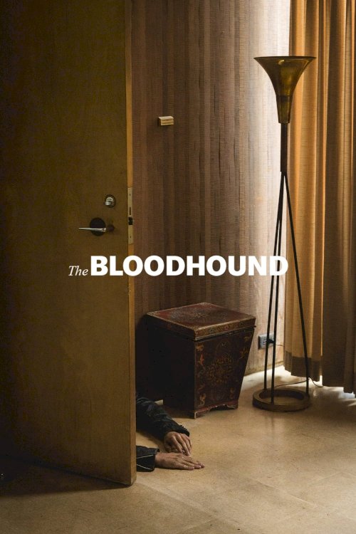 The Bloodhound The Bloodhound