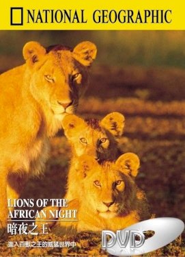 Lions of the African Night Lions of the African Night