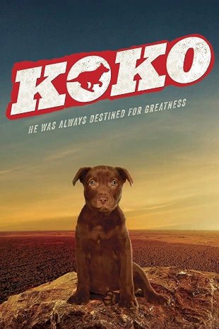 Koko: A Red Dog Story