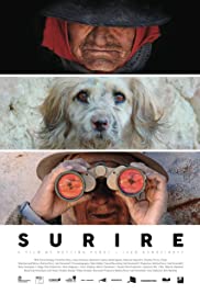 Surire Surire