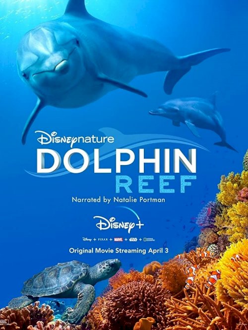 Dolphin Reef Dolphin Reef