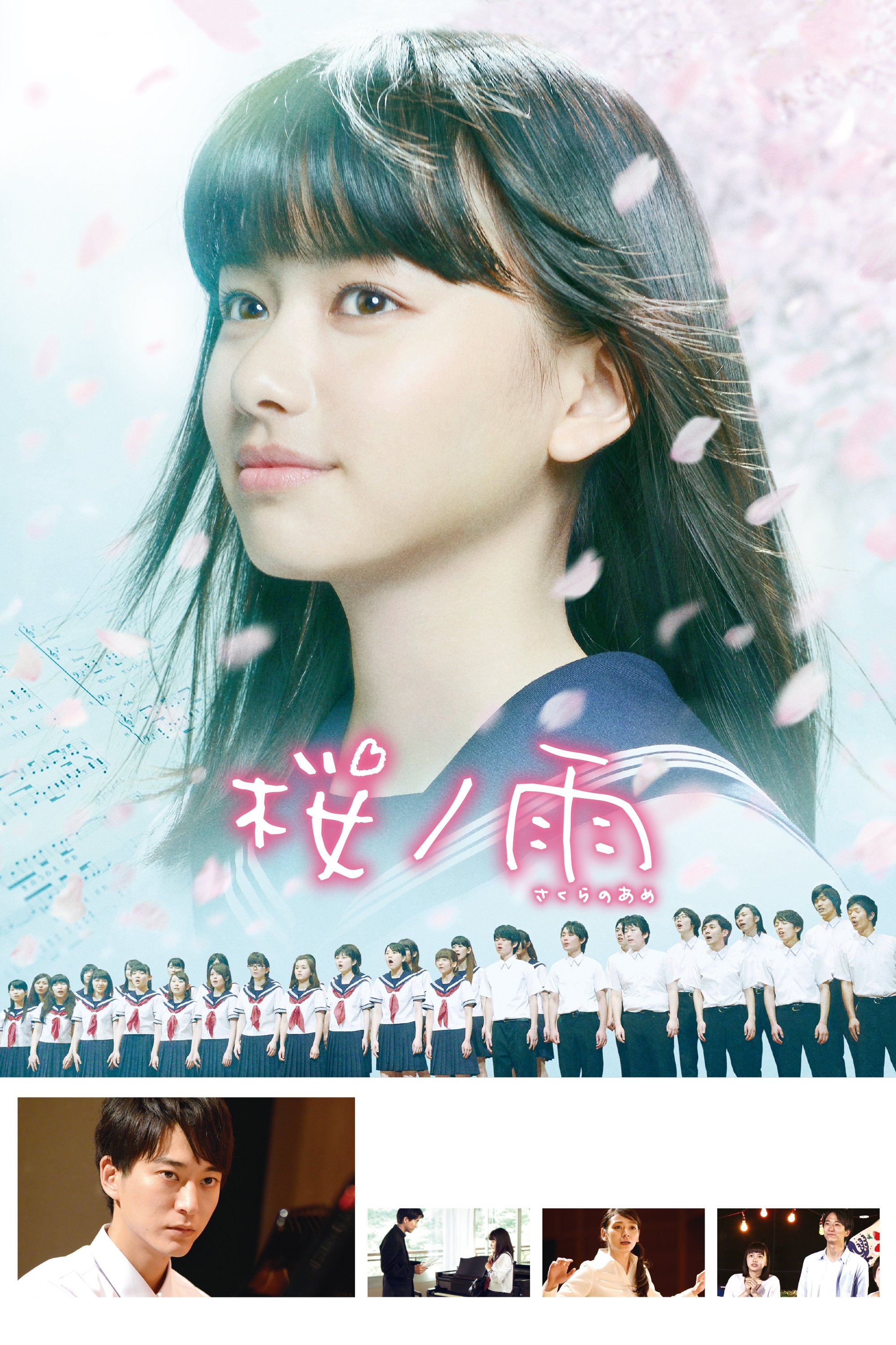 Cherry Blossom Memories Cherry Blossom Memories
