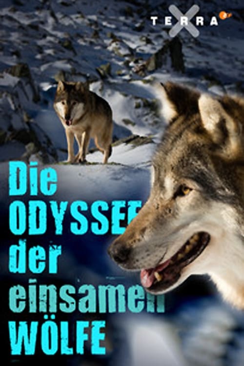 Die Odyssee der einsamen Wölfe Die Odyssee der einsamen Wölfe