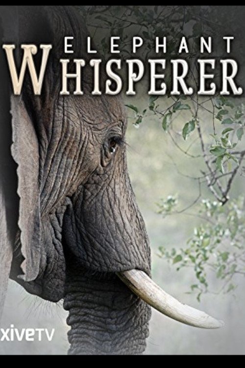 Elephant Whisperer Elephant Whisperer
