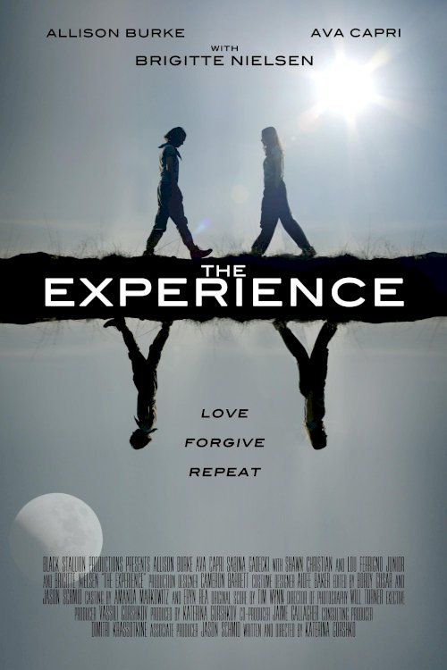 The Experience The Experience