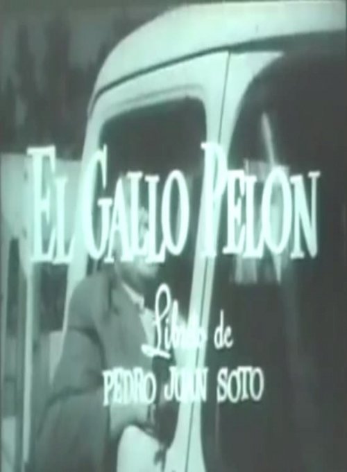 El gallo pelón