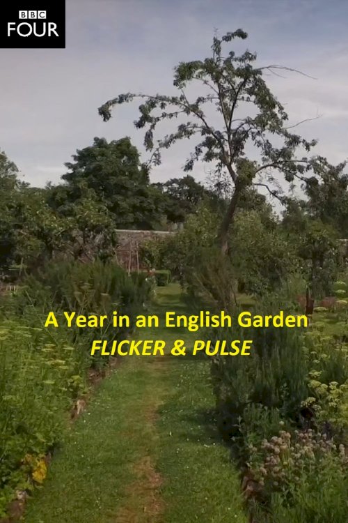 Flicker & Pulse Flicker & Pulse