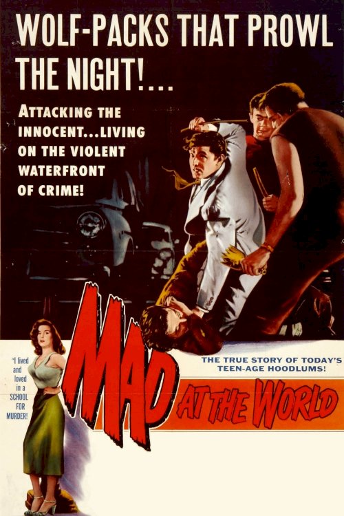 Mad at the World Mad at the World